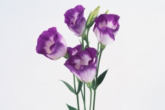F018H