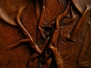 Кожа/Skin