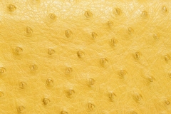 L005h
