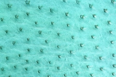 L006h