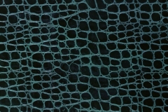 L010h