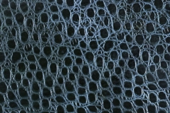 L013h
