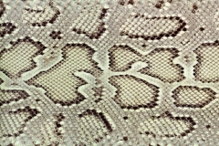 L023h