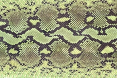 L029h
