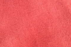 L079h