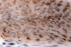 L093h