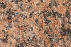 S009H