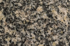 S013H