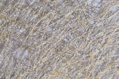 35FP-02